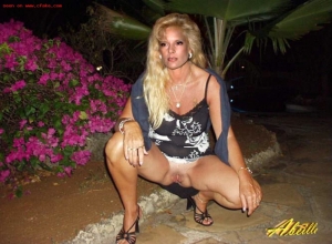 Fake : Sylvie Vartan