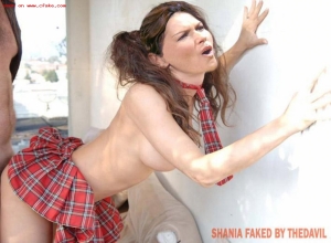 Fake : Shania Twain