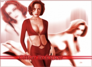 Fake : Gillian Anderson