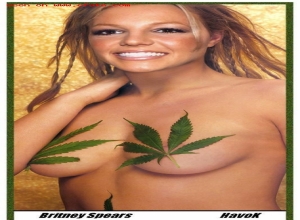 Fake : Britney Spears