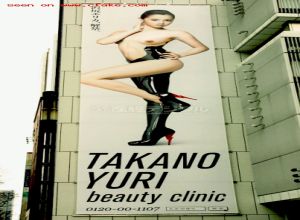 Fake : Erika Sawajiri