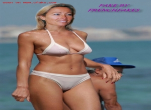 Fake : Anne Sophie Lapix