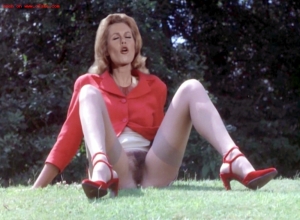 Fake : Elizabeth Montgomery