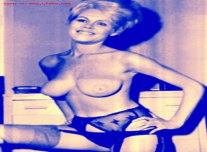 Fake : Elizabeth Montgomery