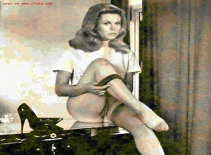 Fake : Elizabeth Montgomery