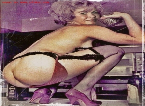 Fake : Elizabeth Montgomery