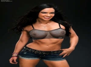 Fake : AJ Lee