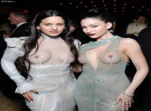 Fake : Multi Celebrity