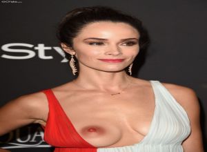 Fake : Abigail Spencer