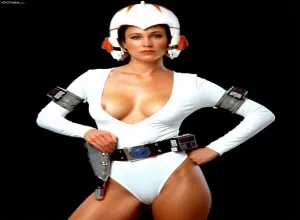 Fake : Erin Gray
